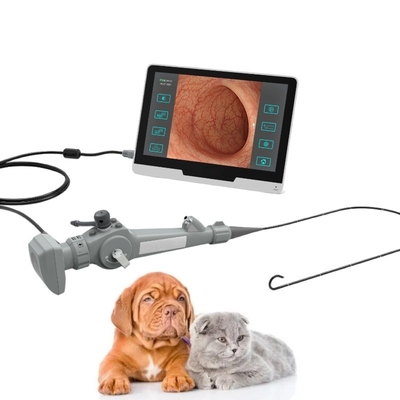 Endoscopio video flexible portátil para la cistoscopia animal Bronchscopy