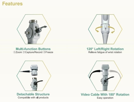 Endoscopio video flexible portátil para la cistoscopia animal Bronchscopy