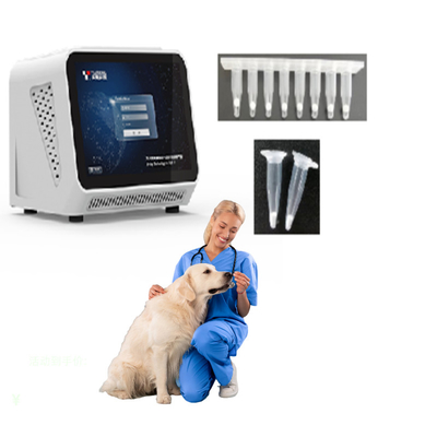 Analizador automático MT-PCR01 de la polimerización en cadena para el uso en hospitales del animal doméstico